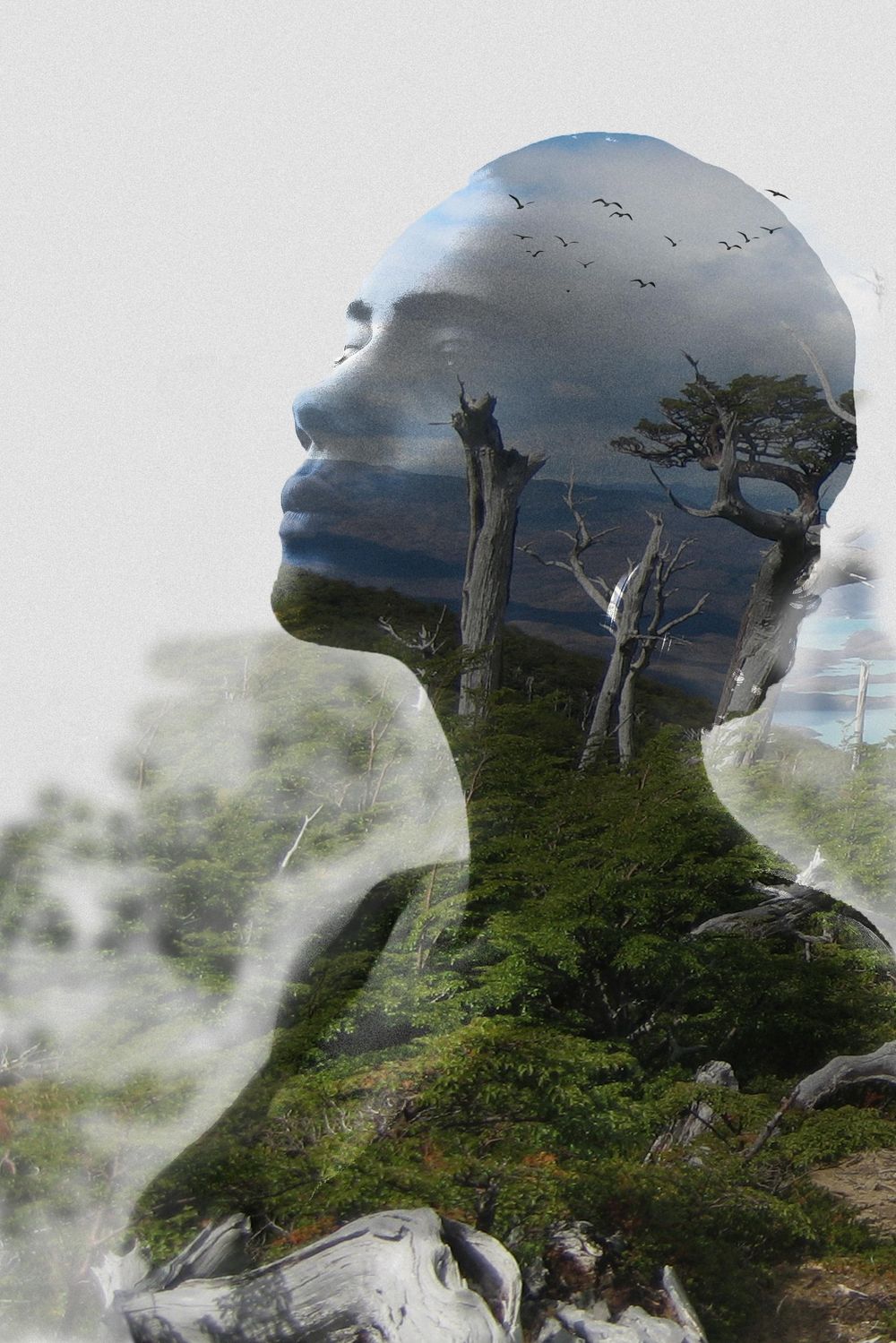Woman Double Exposure - image 2 - student project