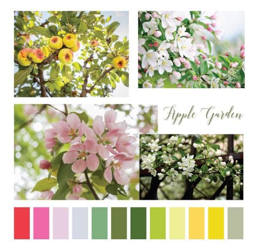 Apple Garden - image 1 - student project
