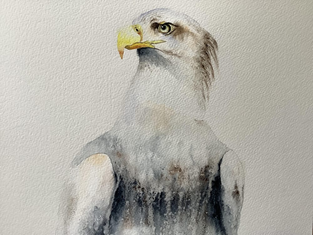 Sea eagle tutorial - image 1 - student project