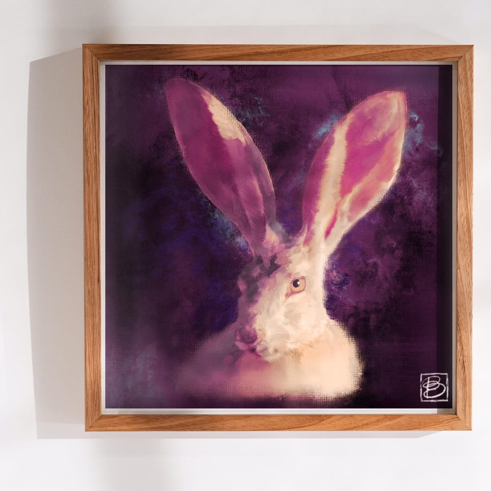 Jackrabbit - image 1 - student project