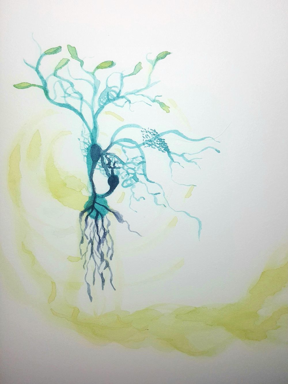 Freeform project skillshare student project
