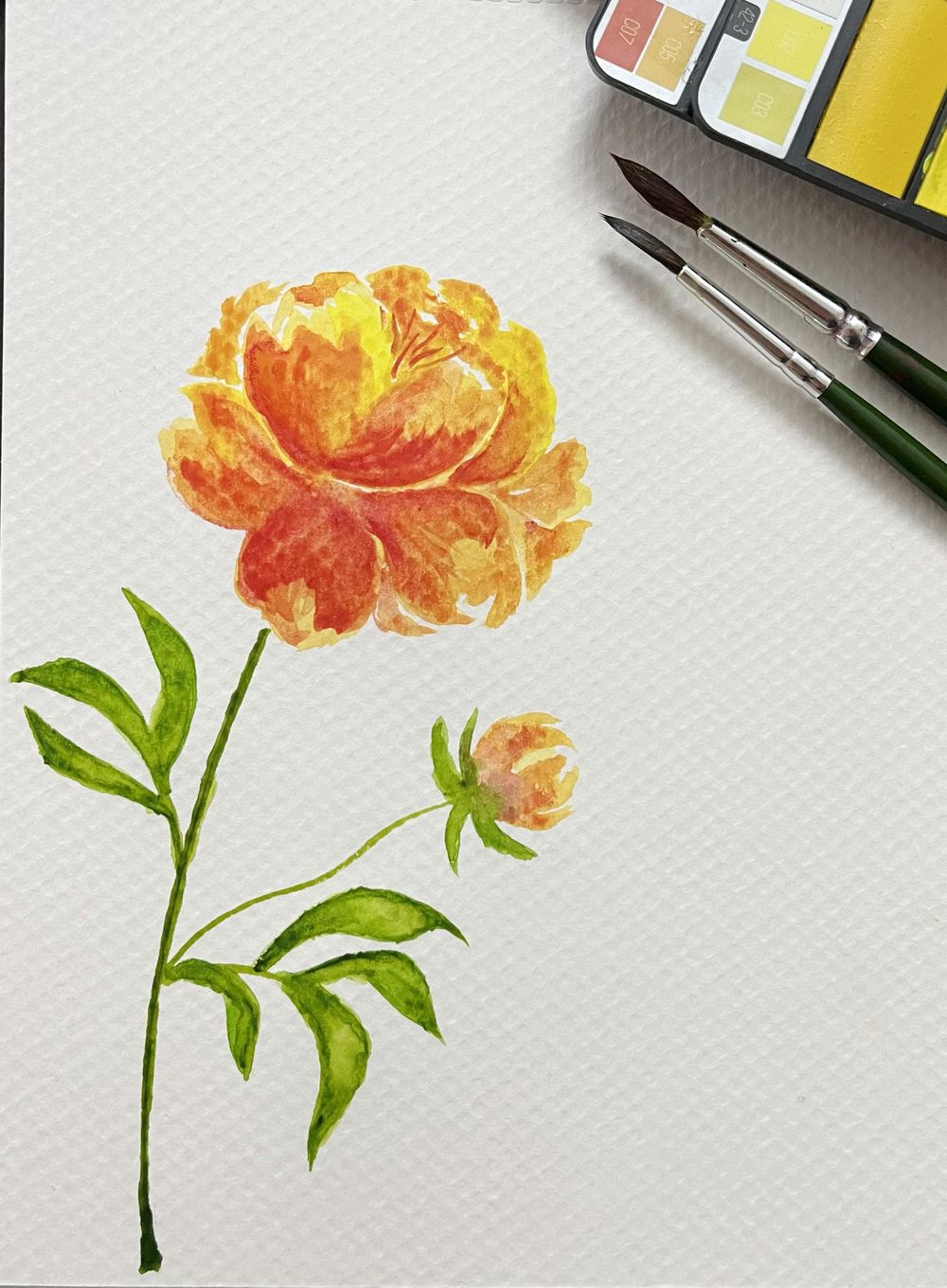 Florals Wet on Wet Technique - Part 1 - image 2 - student project