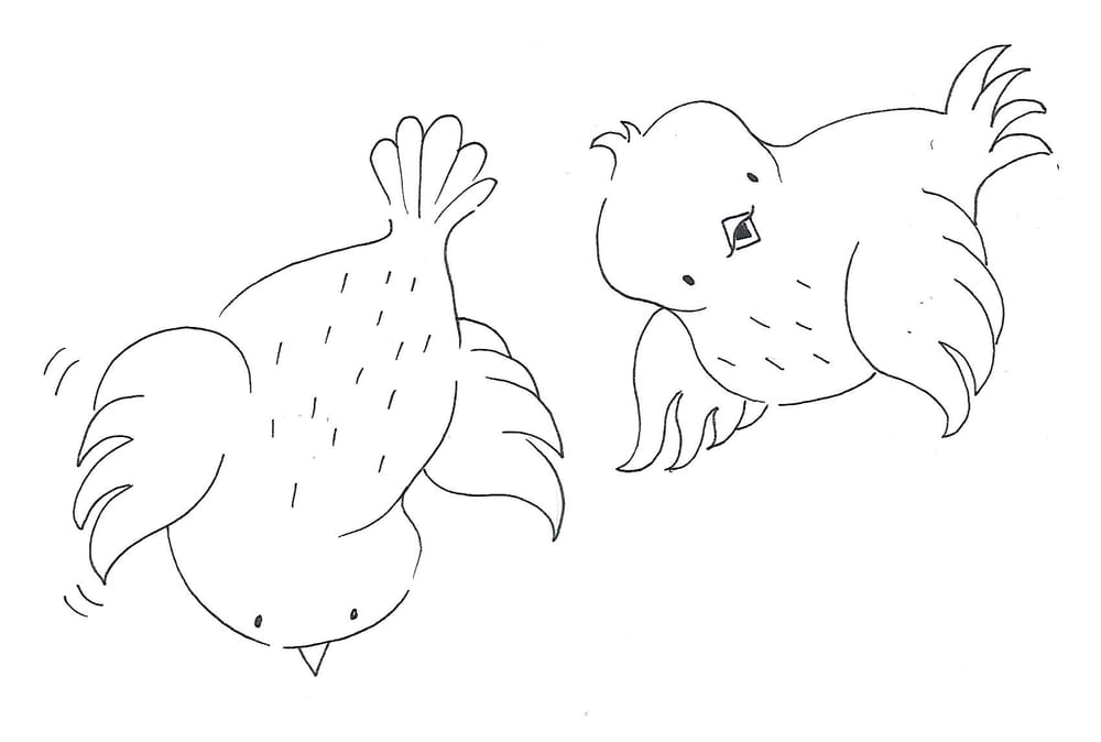 bird poses - image 1 - student project