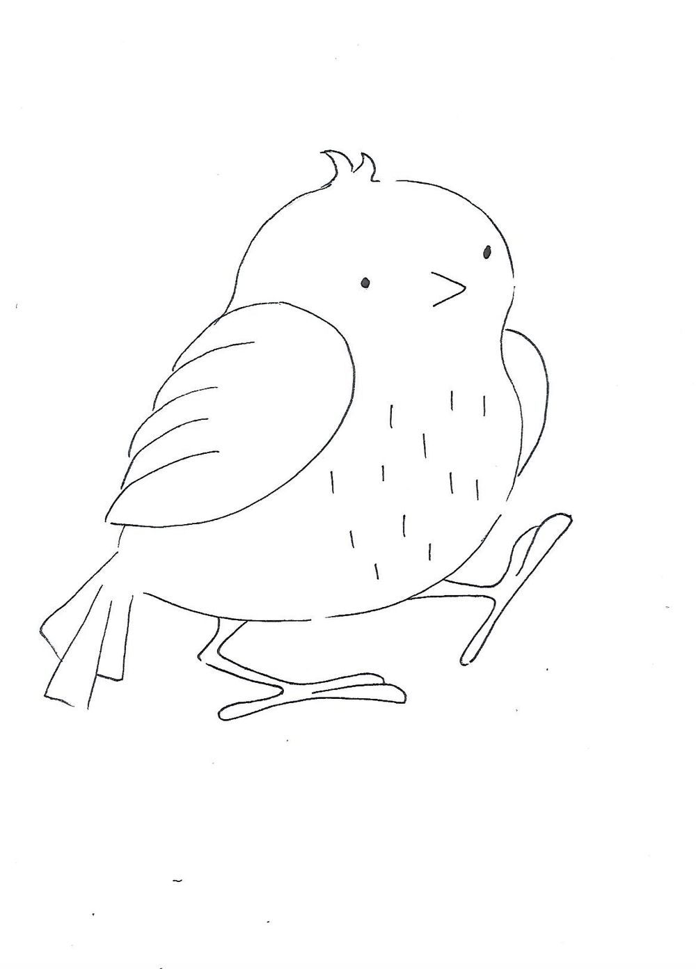 bird poses - image 3 - student project