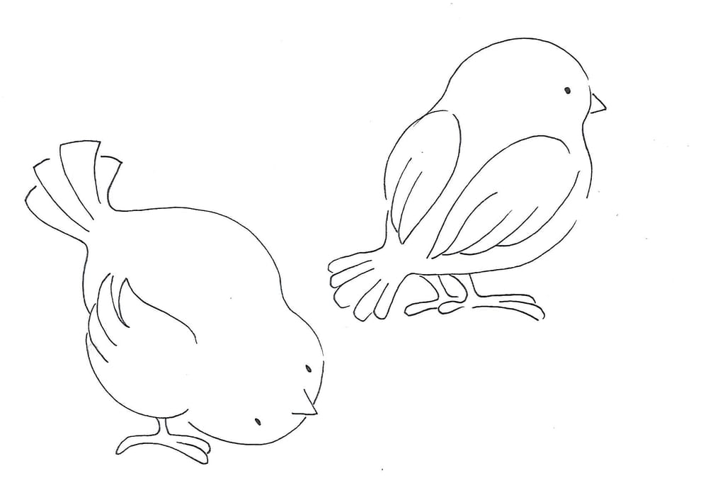 bird poses - image 2 - student project