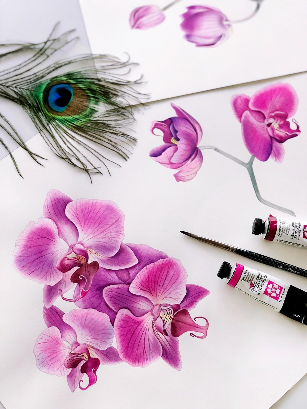 Watercolor Orchids - image 2 - student project