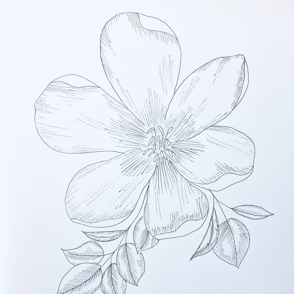 Zendoodle - Florals - image 1 - student project