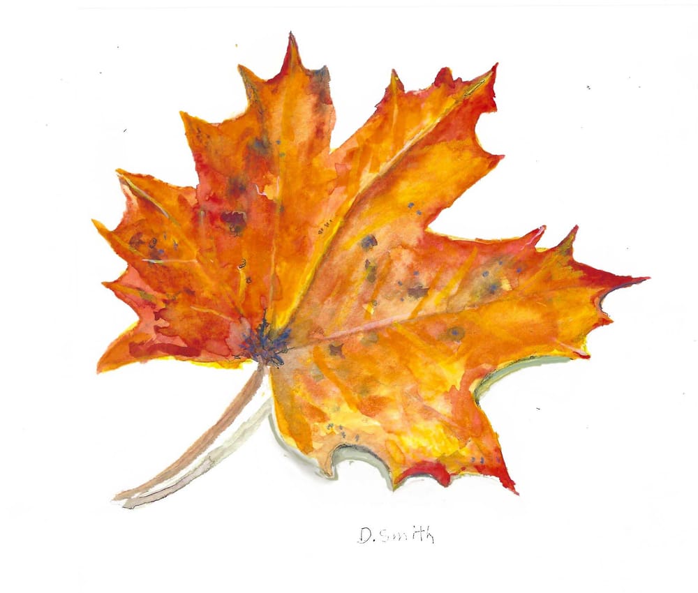 leaves - image 1 - student project