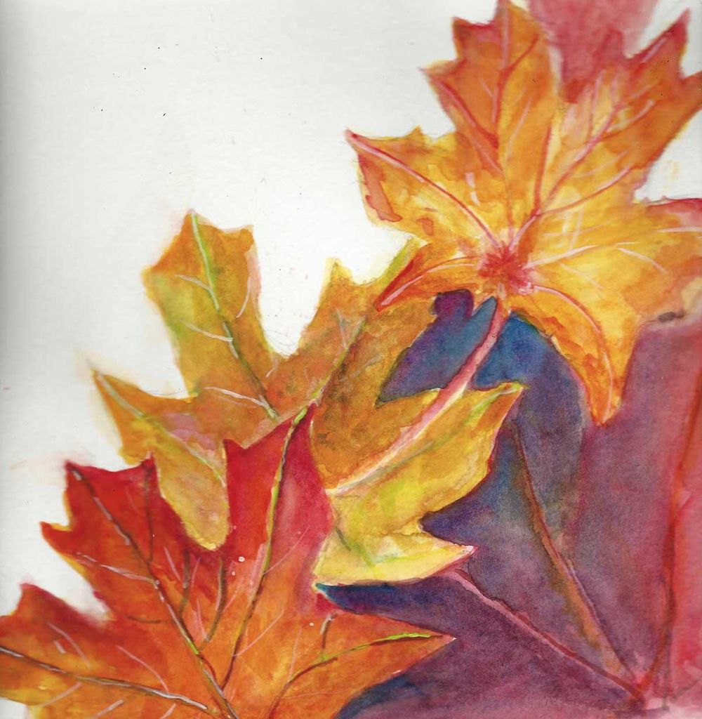 leaves - image 2 - student project