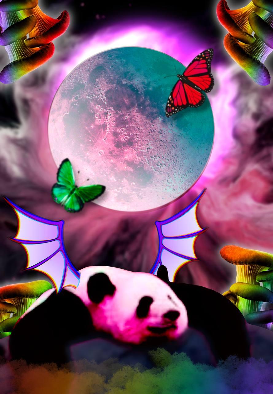 Trippy Panda - image 1 - student project