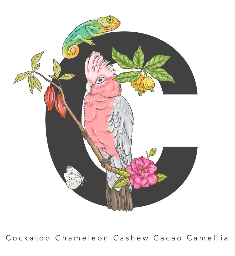 Tropical Alphabets In Procreate - image 4 - student project