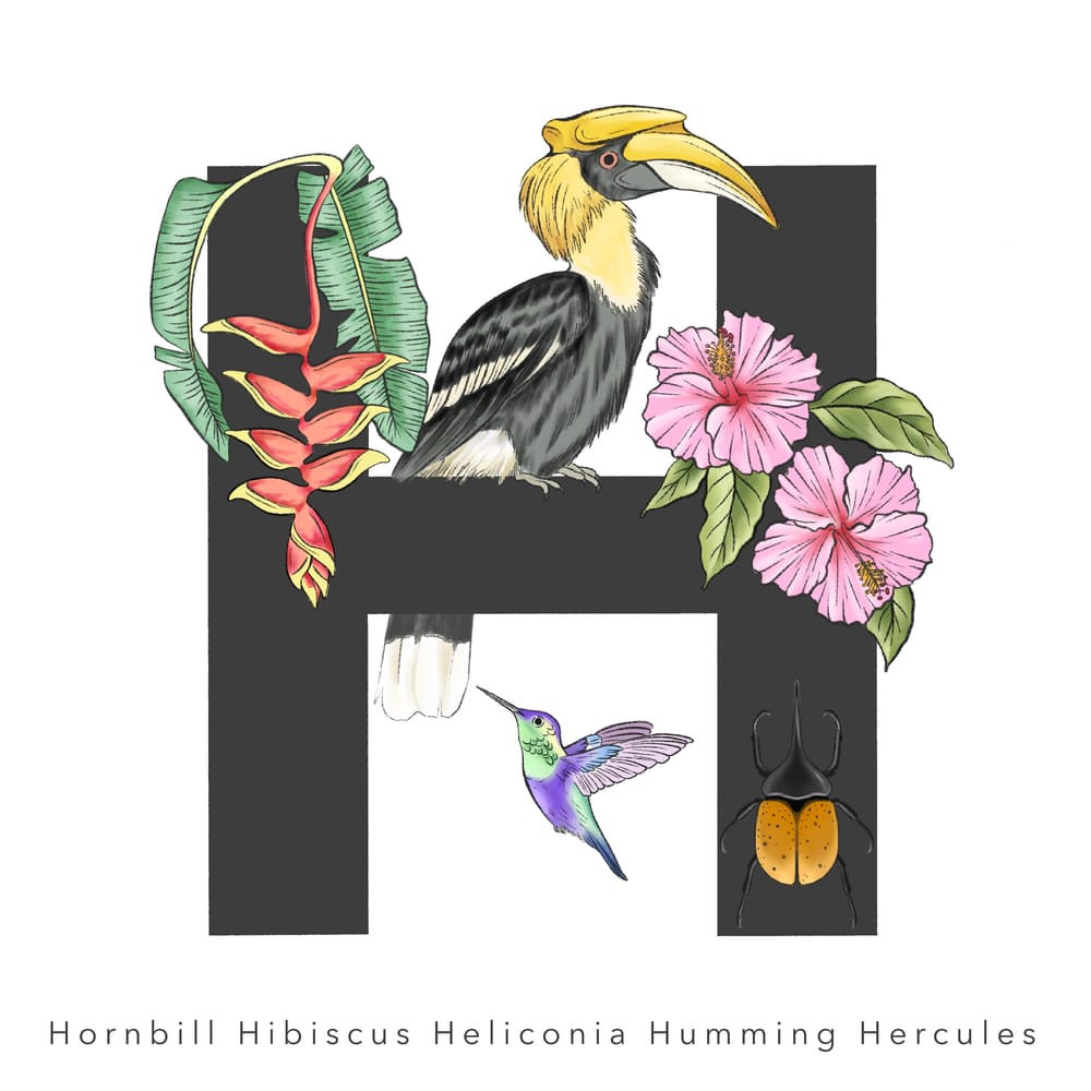 Tropical Alphabets In Procreate - image 2 - student project
