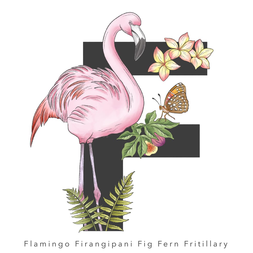 Tropical Alphabets In Procreate - image 5 - student project