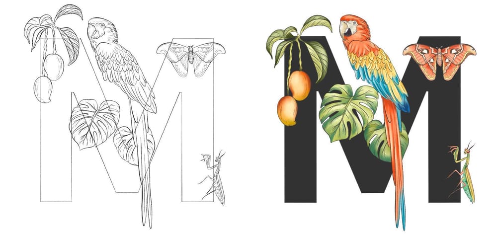 Tropical Alphabets In Procreate - image 1 - student project
