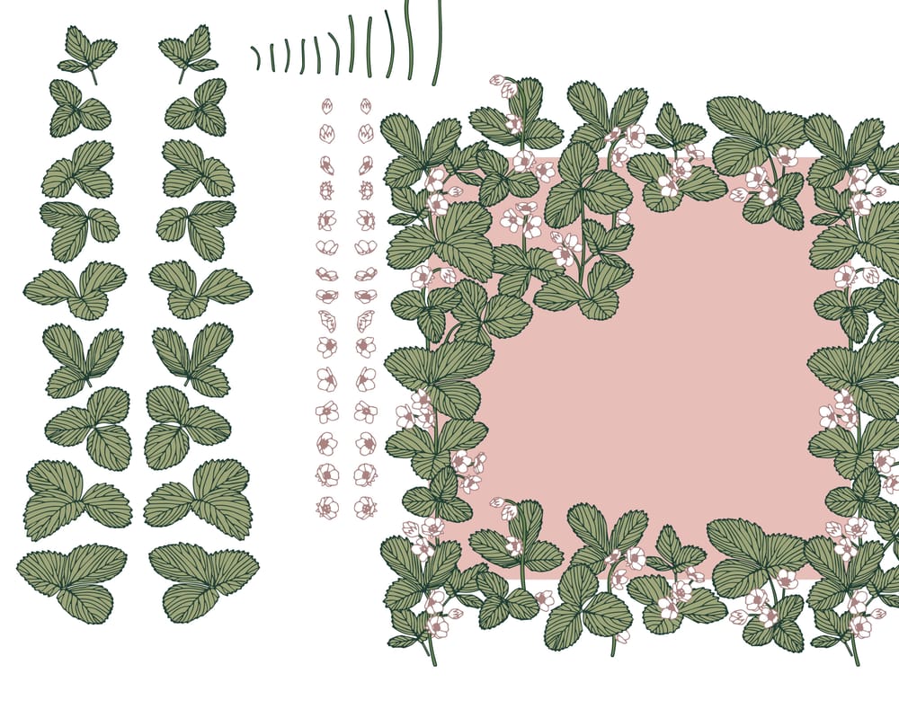 Wild strawberry - image 3 - student project