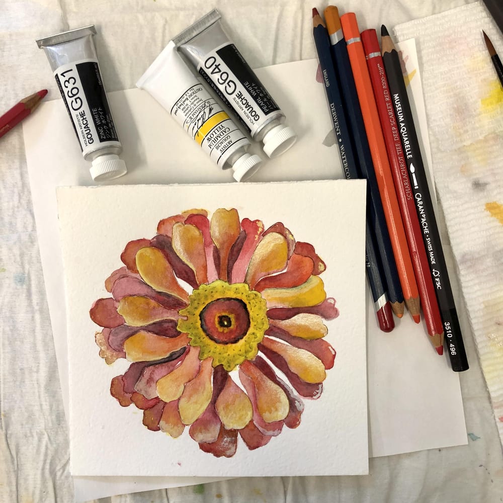 Zinnia - watercolor, watercolor pencil, and gouache - image 2 - student project
