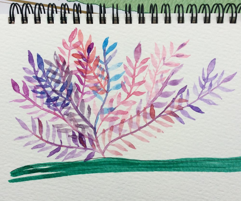 Flowers and plants - image 6 - student project