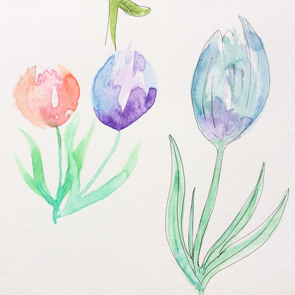 Flowers and plants - image 7 - student project