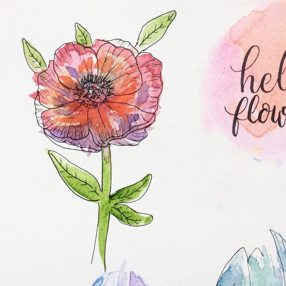 Flowers and plants - image 3 - student project