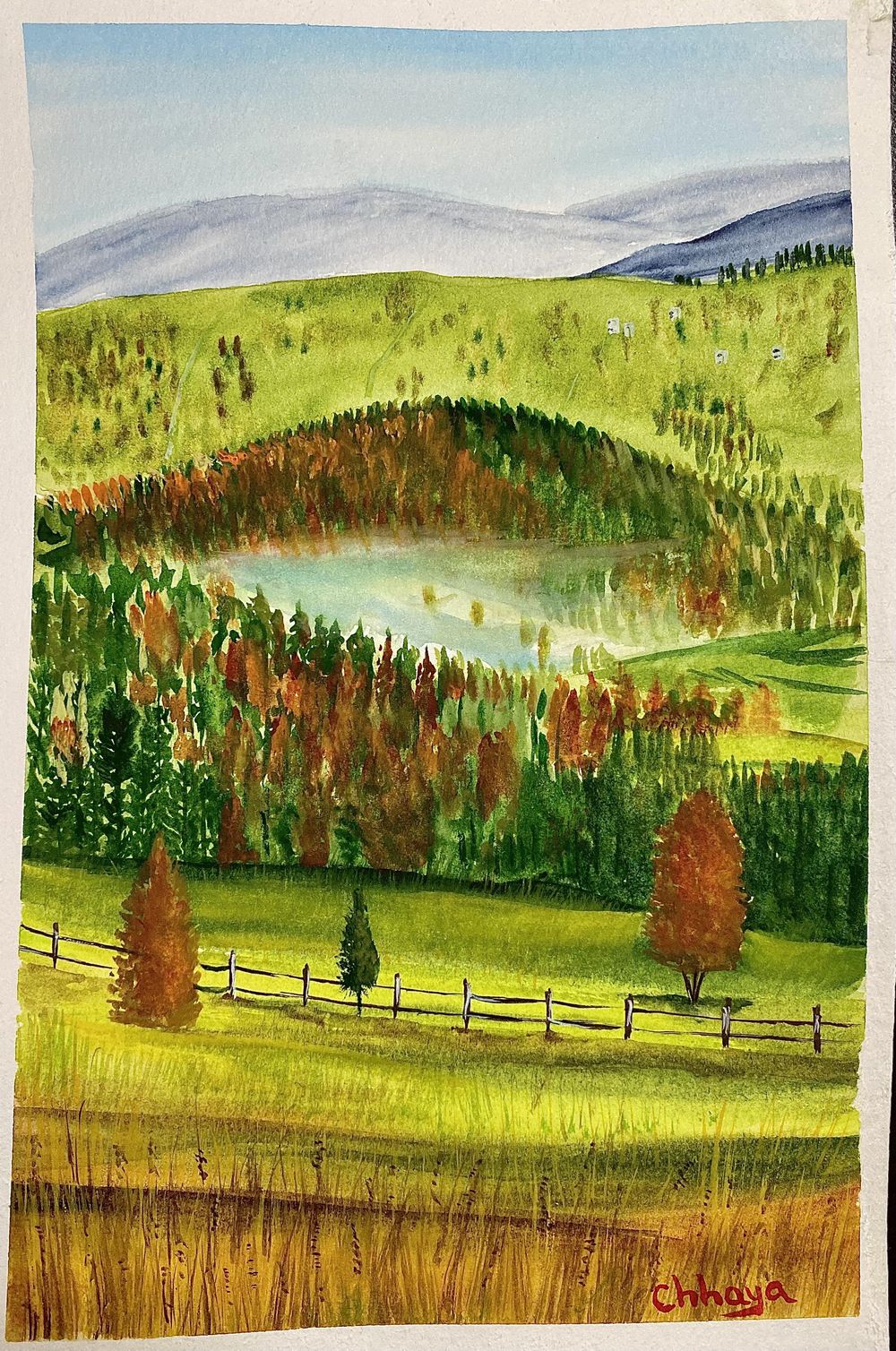 100 Days of Paradise - image 42 - student project