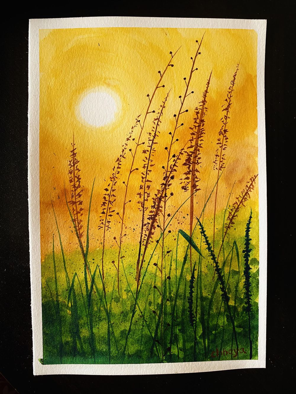 100 Days of Paradise - image 25 - student project