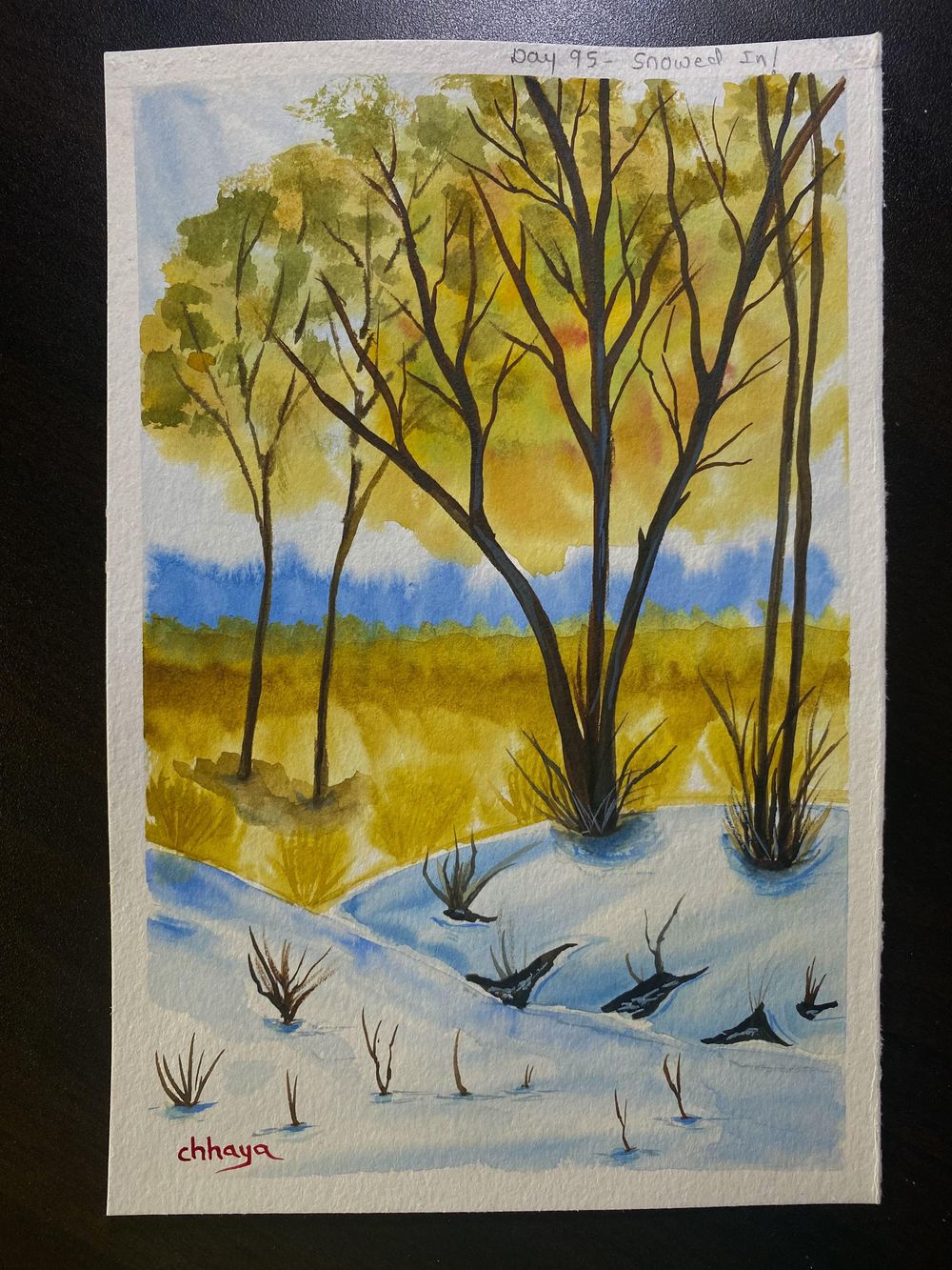 100 Days of Paradise - image 7 - student project