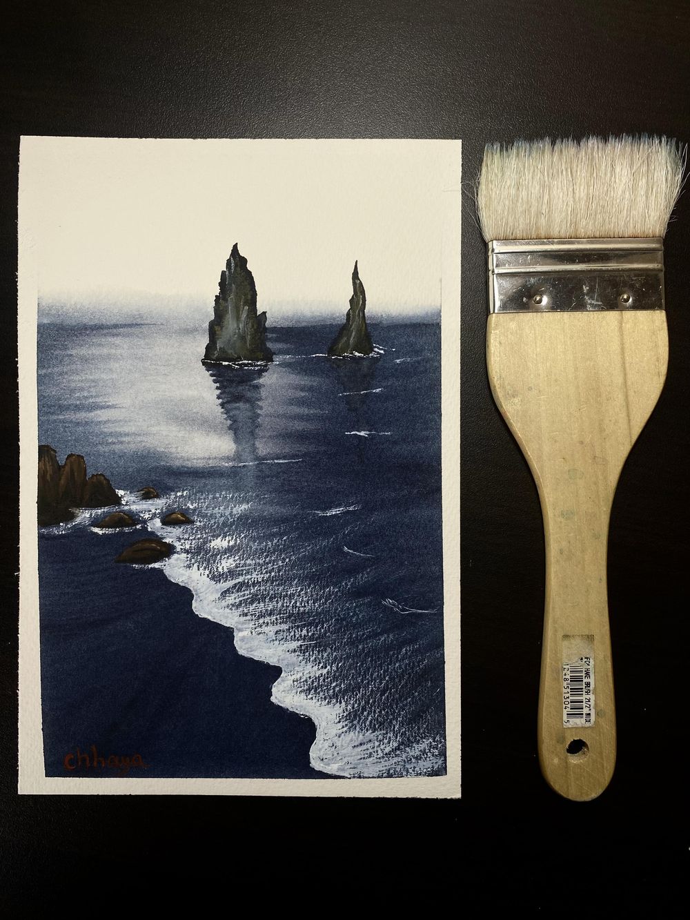 100 Days of Paradise - image 78 - student project