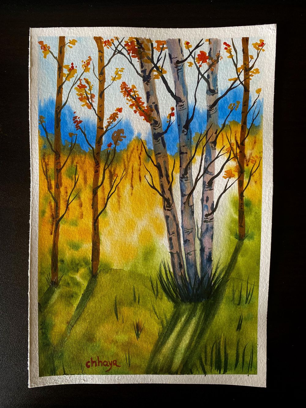 100 Days of Paradise - image 38 - student project