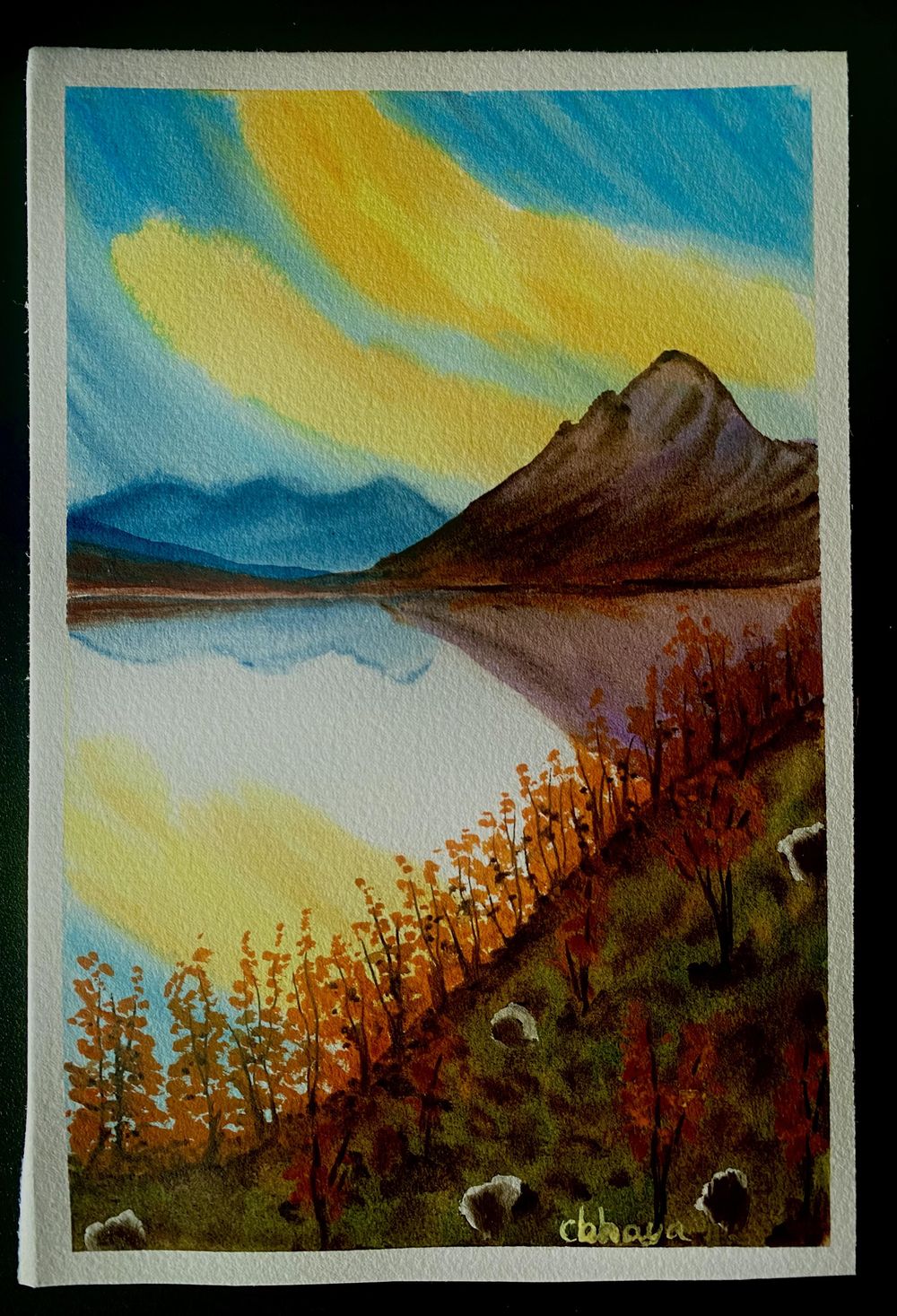 100 Days of Paradise - image 59 - student project
