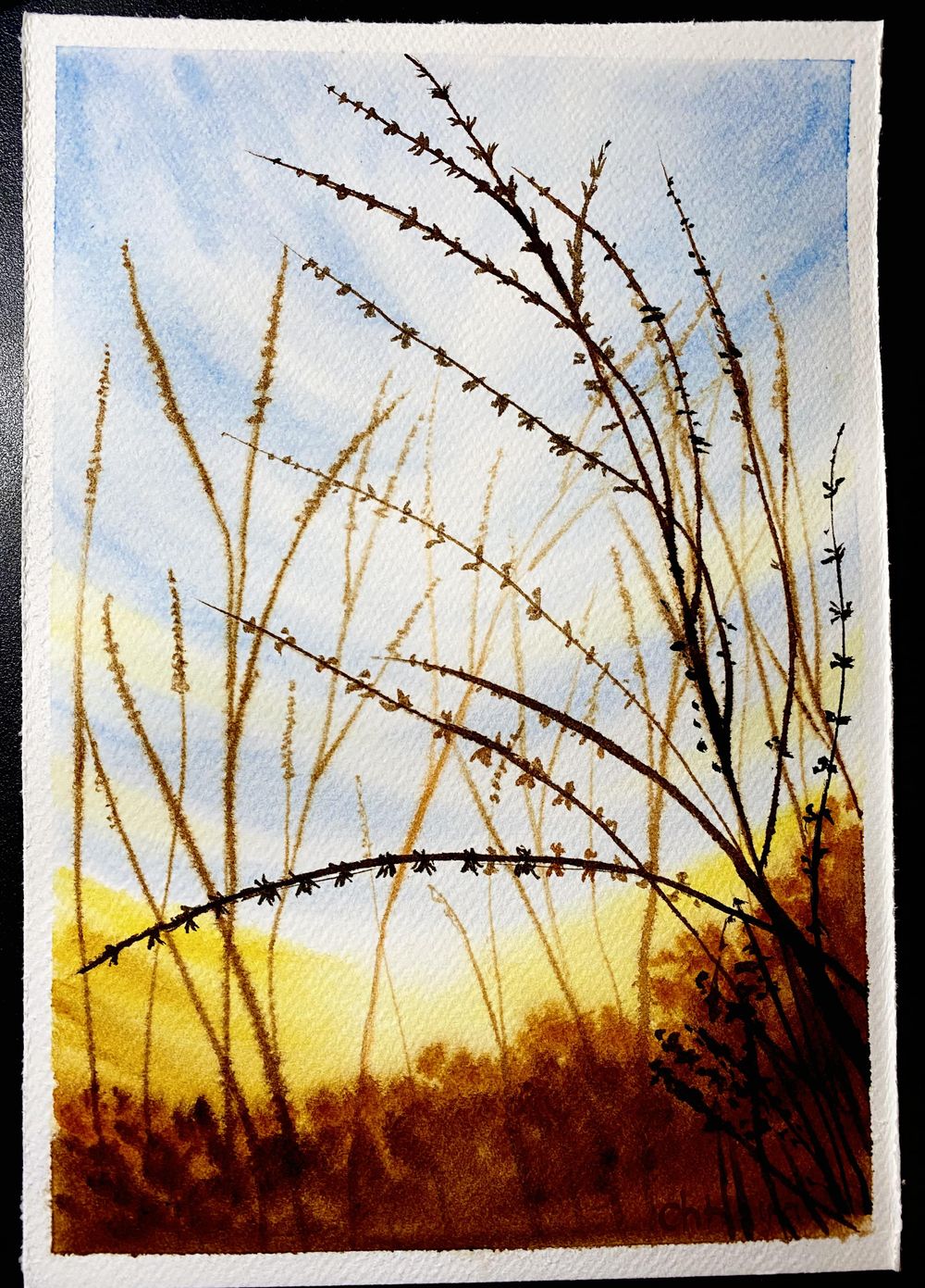 100 Days of Paradise - image 84 - student project