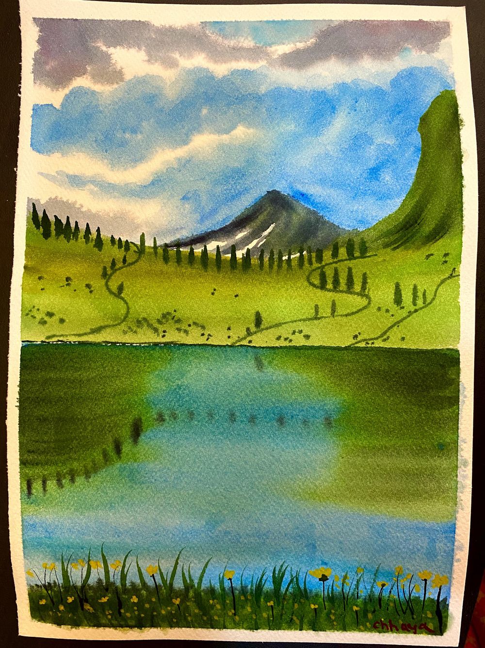 100 Days of Paradise - image 27 - student project