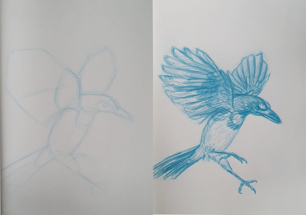 Ballpoint bird - image 2 - student project