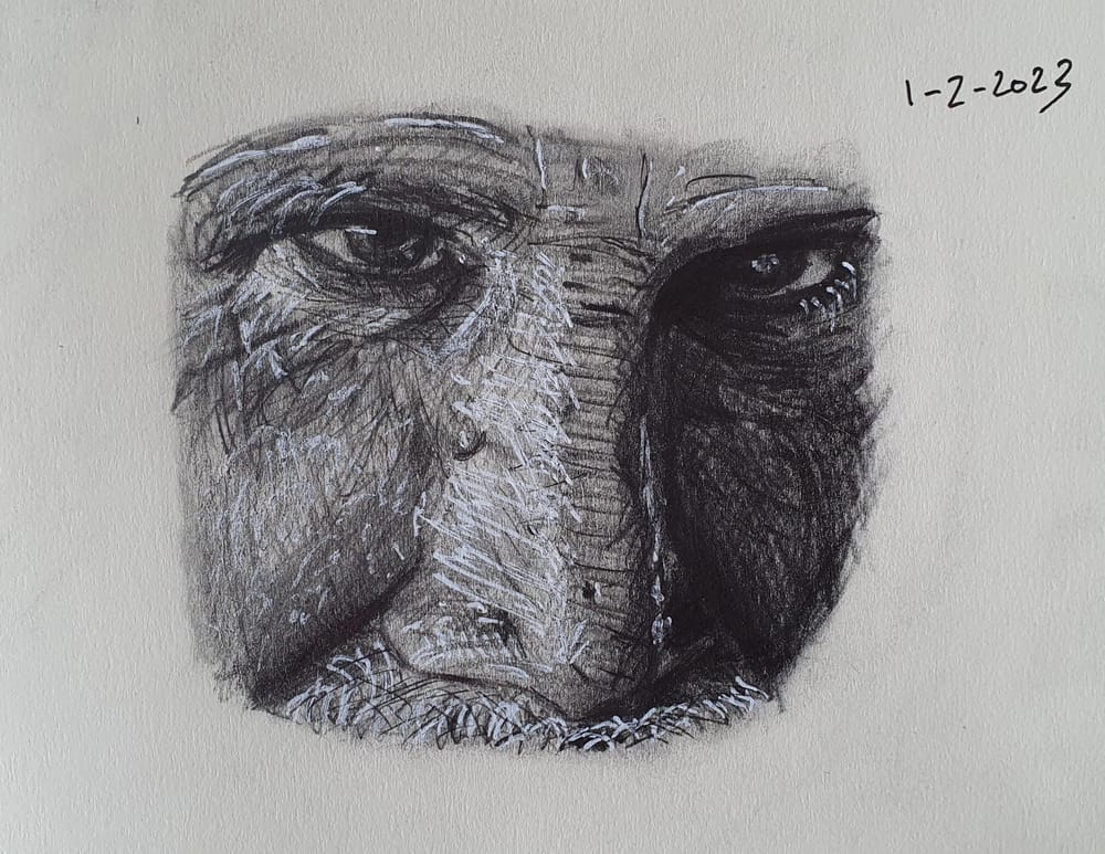 Nose drawing with structure - image 2 - student project