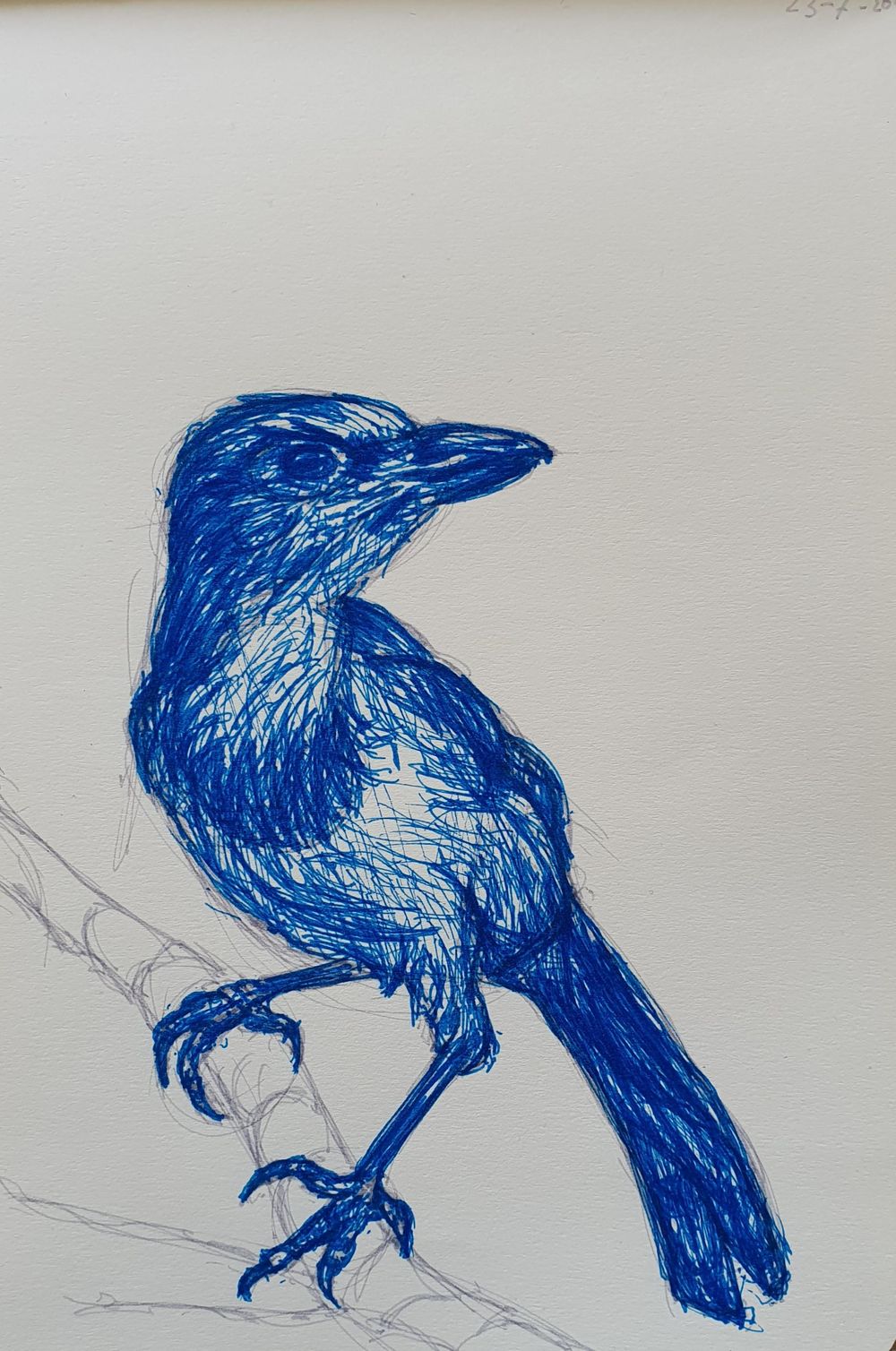 Ballpoint bird - image 1 - student project