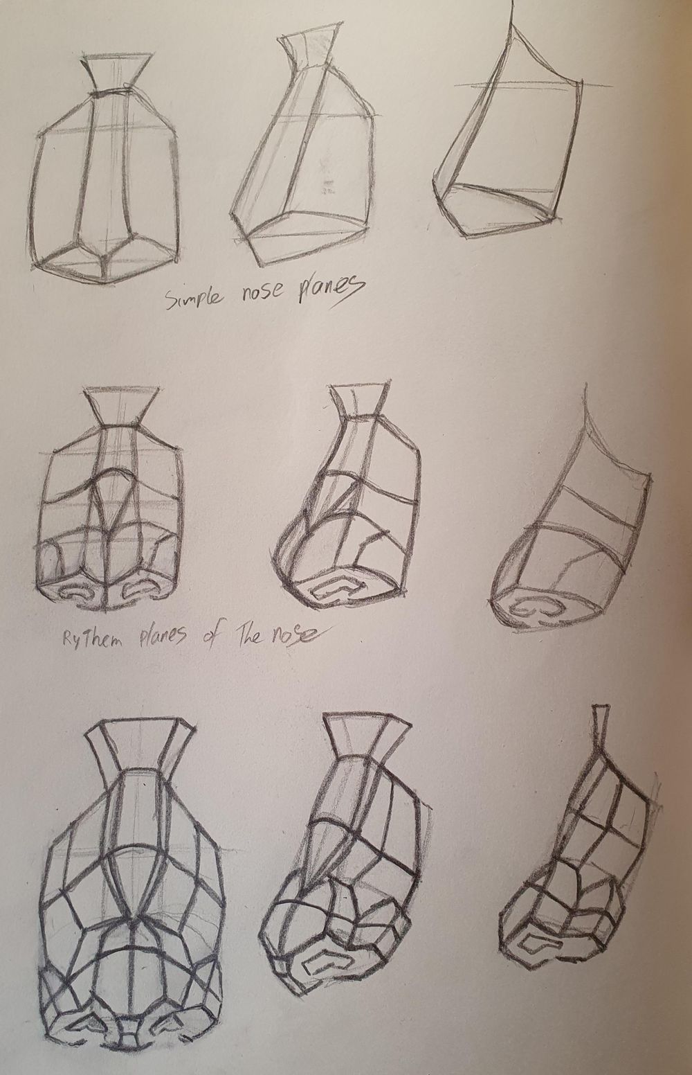Nose drawing with structure - image 4 - student project