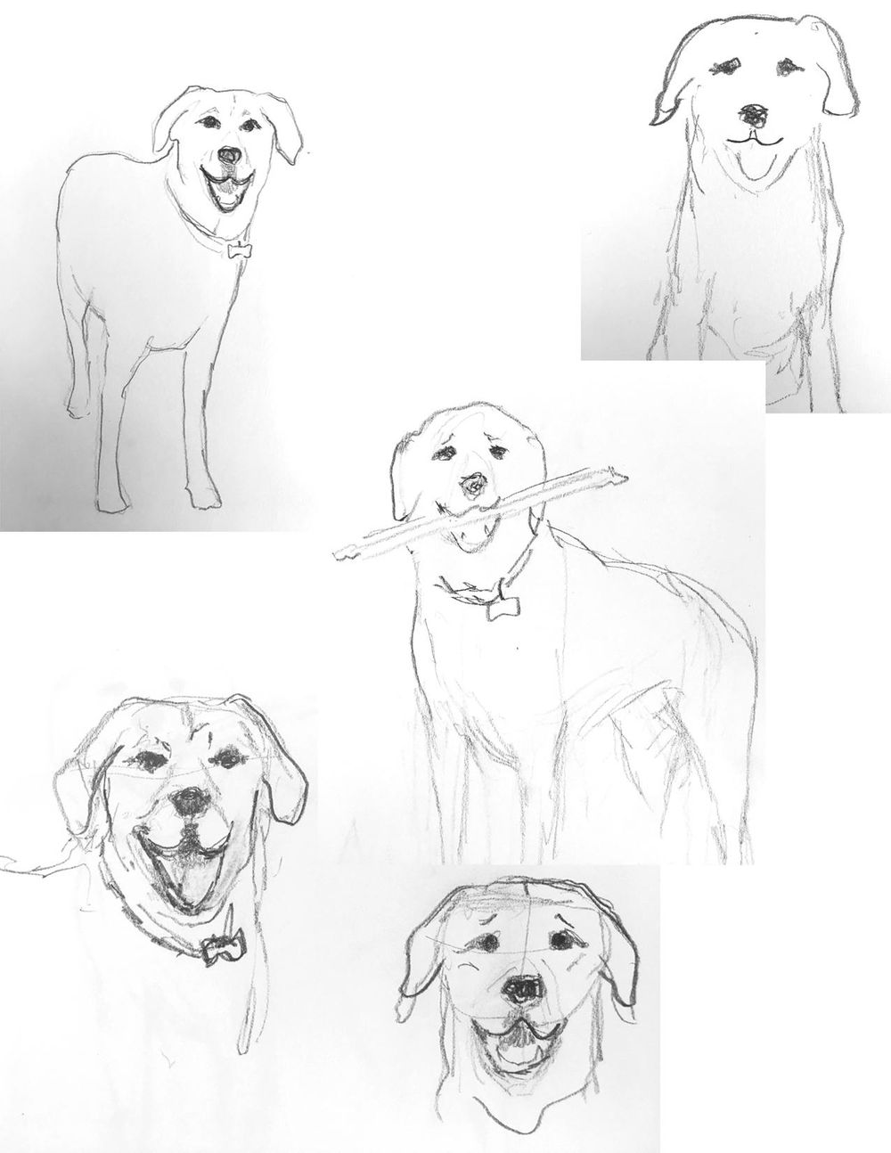 Illustrate From Sketches (3 patterns in 3 weeks) - image 1 - student project