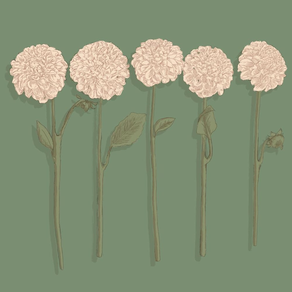 flower shop - image 2 - student project