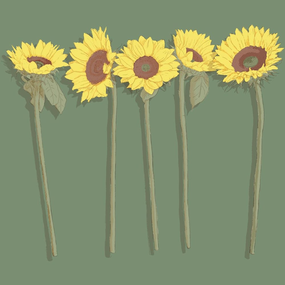 flower shop - image 4 - student project