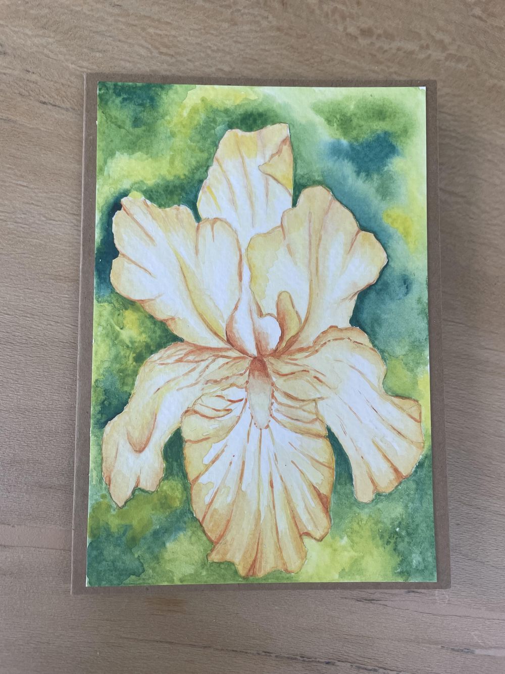 Yellow Iris in watercolour - image 1 - student project