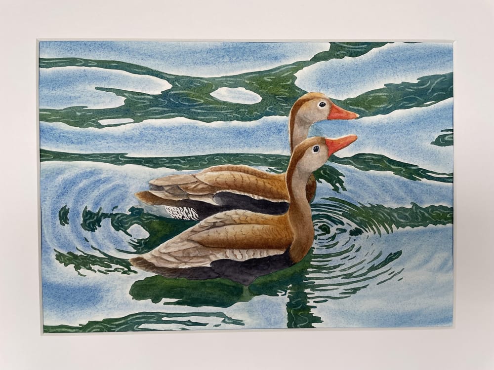 Ducks in water(colour) - image 1 - student project