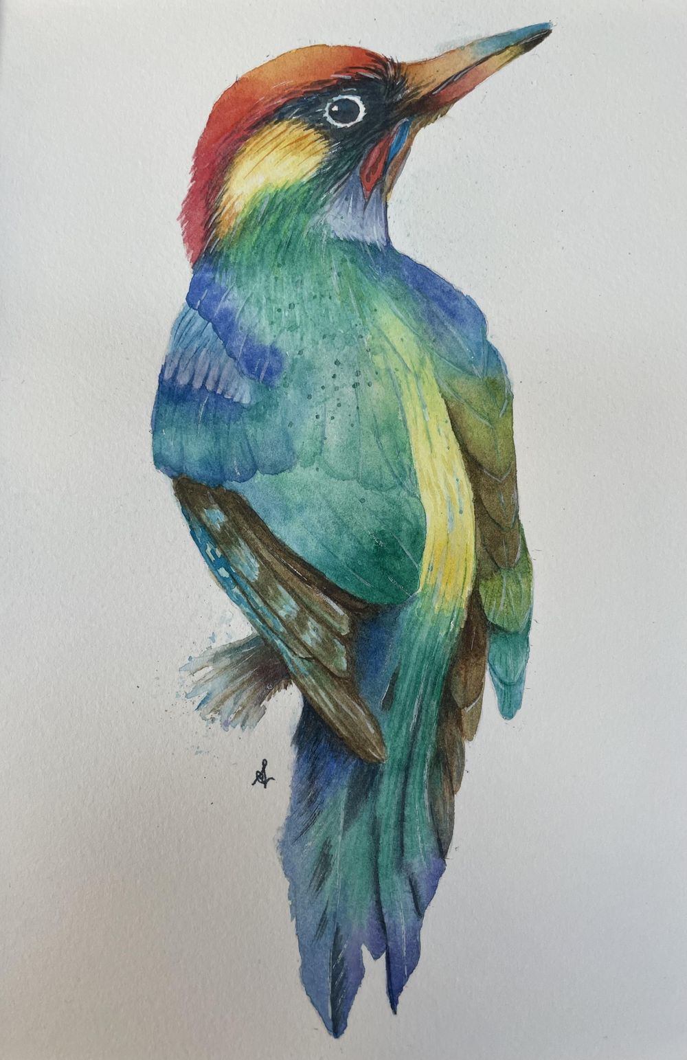 Colourful bird in watercolour - image 1 - student project