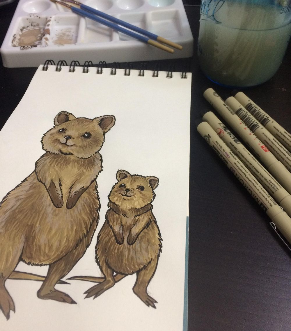 Cute Quokkas - image 5 - student project
