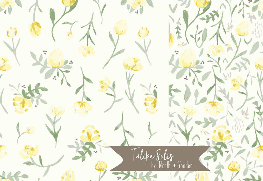 Tulipa sp. - image 4 - student project