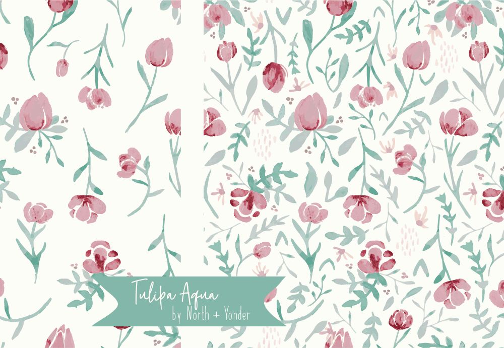 Tulipa sp. - image 3 - student project