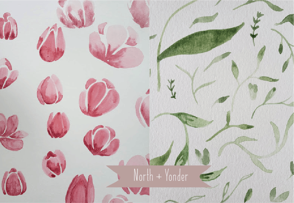 Tulipa sp. - image 2 - student project