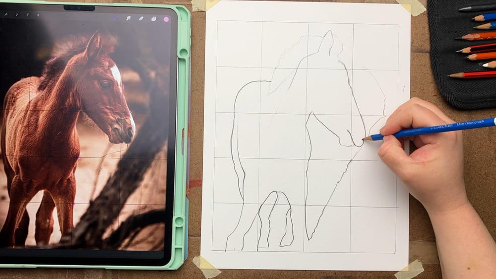 My Project - Foal - image 4 - student project