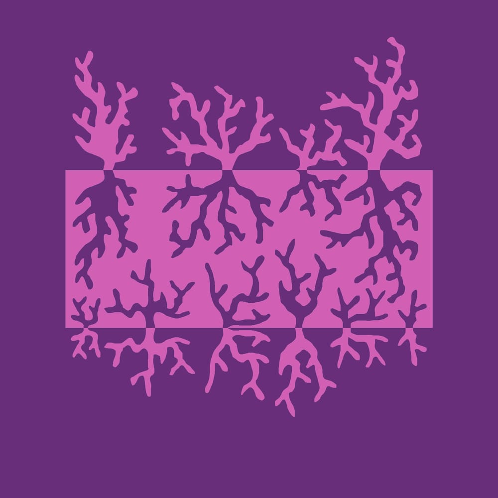 Notans - image 6 - student project