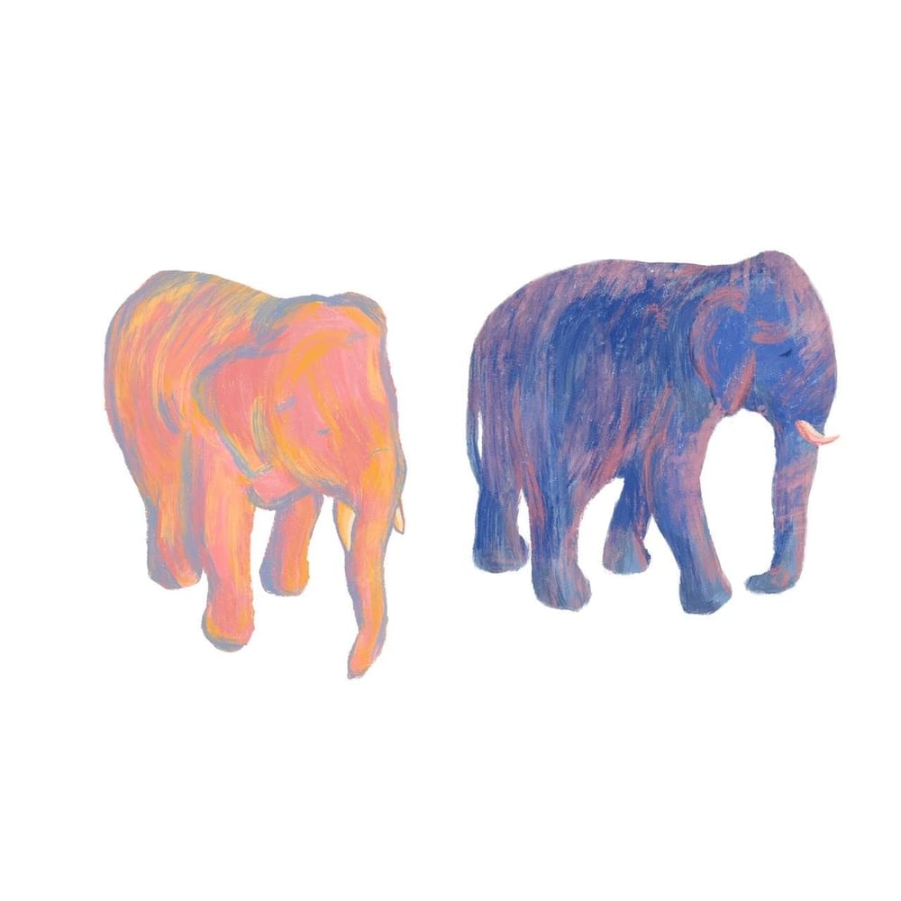 Textured Elephants - image 2 - student project