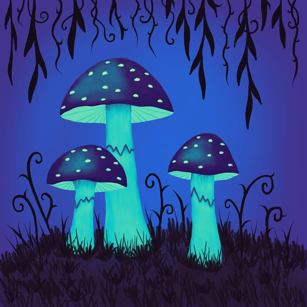 Whimsical Mushrooms - image 3 - student project