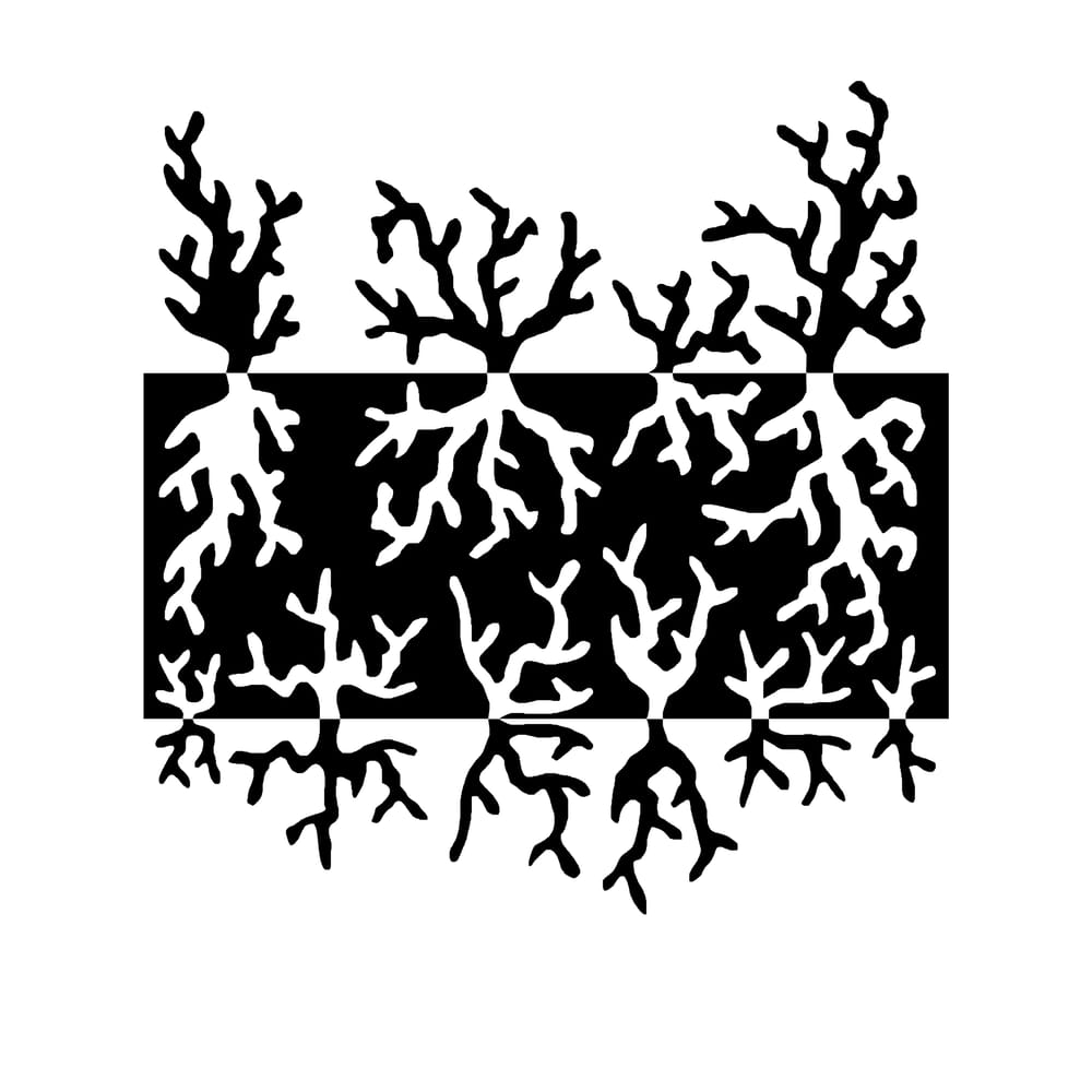 Notans - image 7 - student project